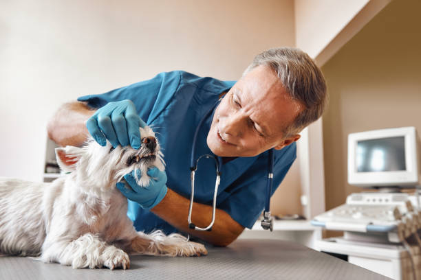 Best Emergency Tooth Extraction in Clksville, AR