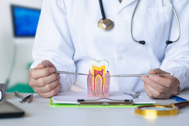 Best Emergency Dental Care for Broken or Chipped Teeth in Clksville, AR